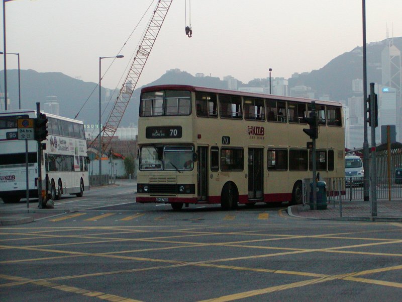 P1010082.jpg
