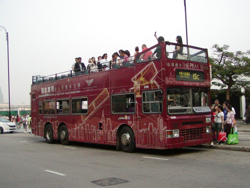 P1010024.jpg