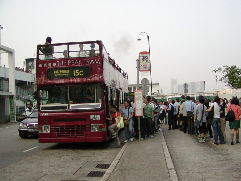 P1010036.jpg