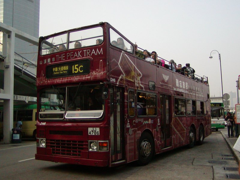 P1010040.jpg