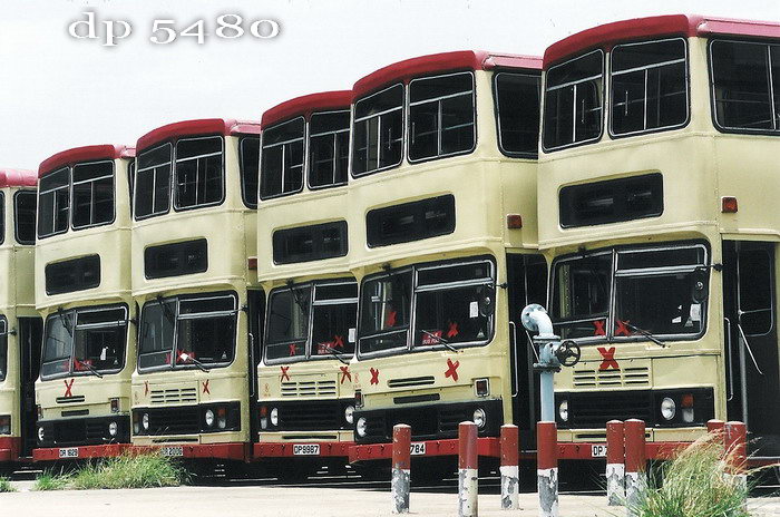 KT.jpg
