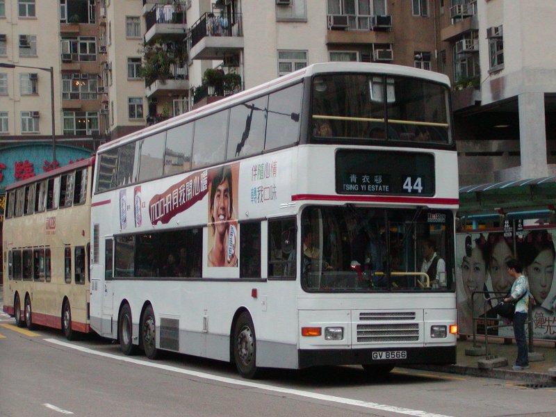 P1010001.jpg