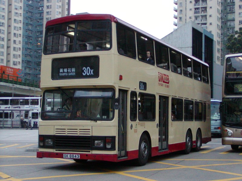P1010011.jpg