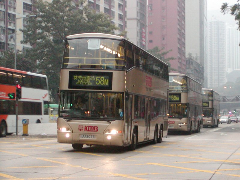 P1010022.jpg
