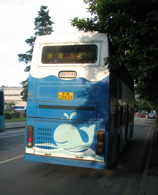 226b.jpg