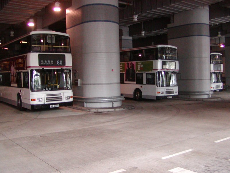 P1010002.jpg