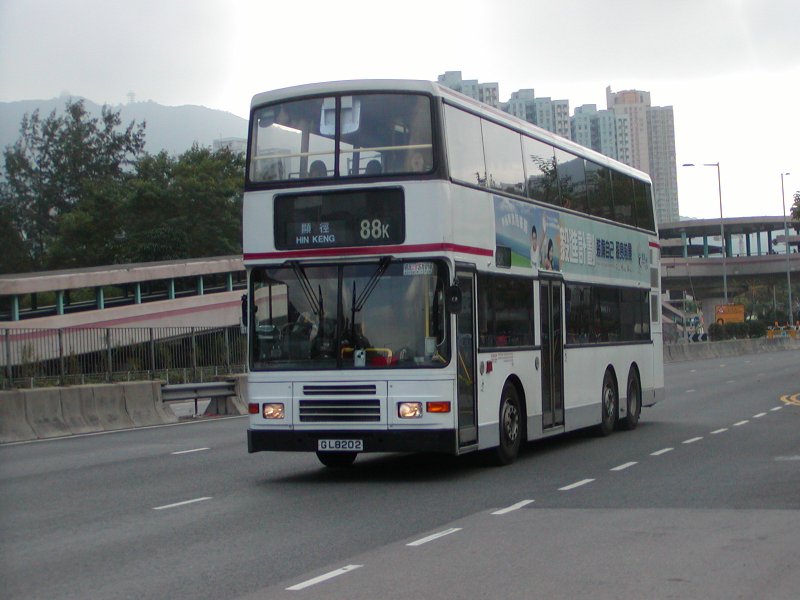 P1010012.jpg