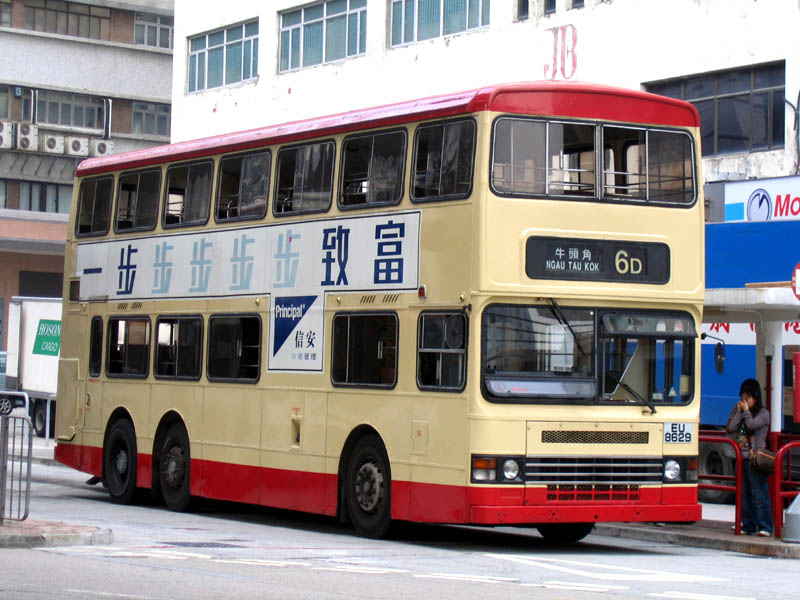 11照片 084s.jpg