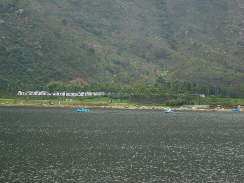 P1000778.jpg
