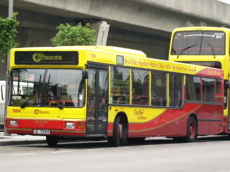 P1000816.jpg