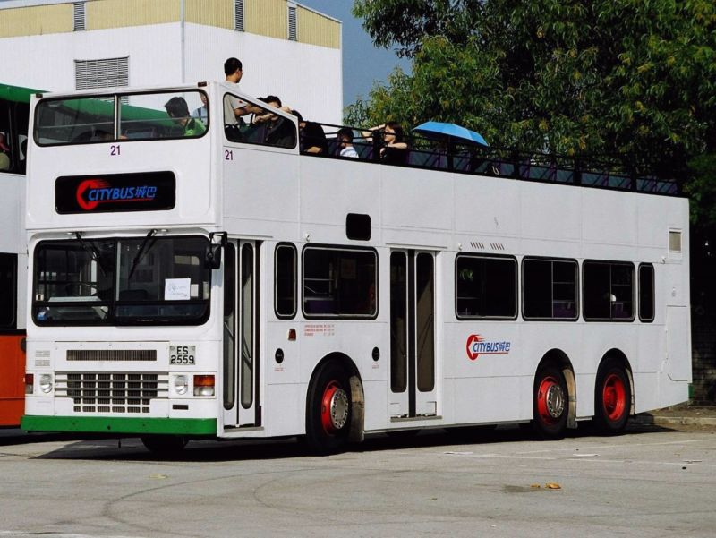 41800032.jpg