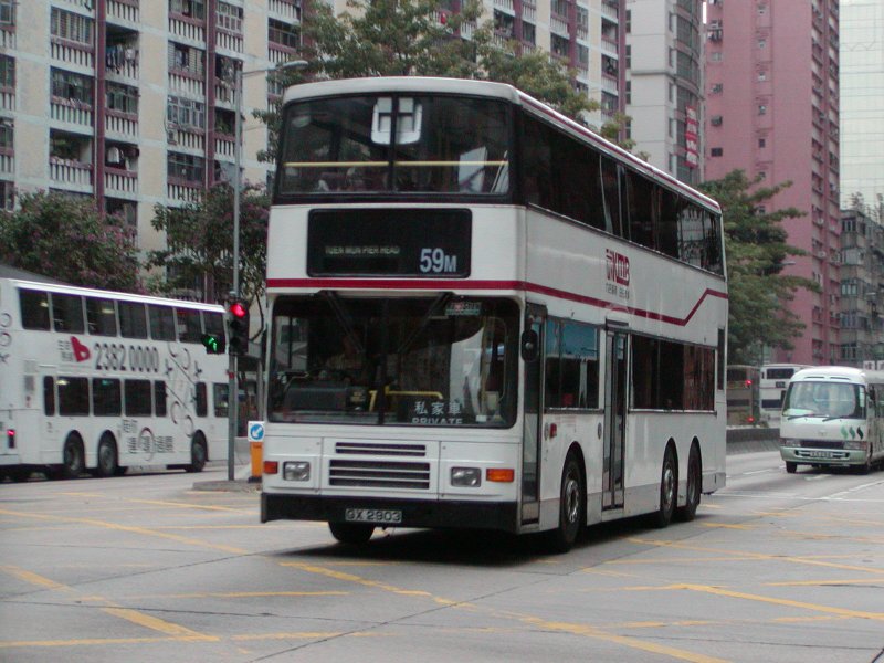 P1010026.jpg