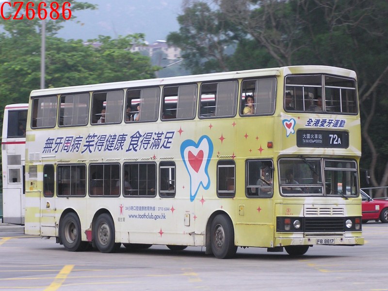 8617.jpg