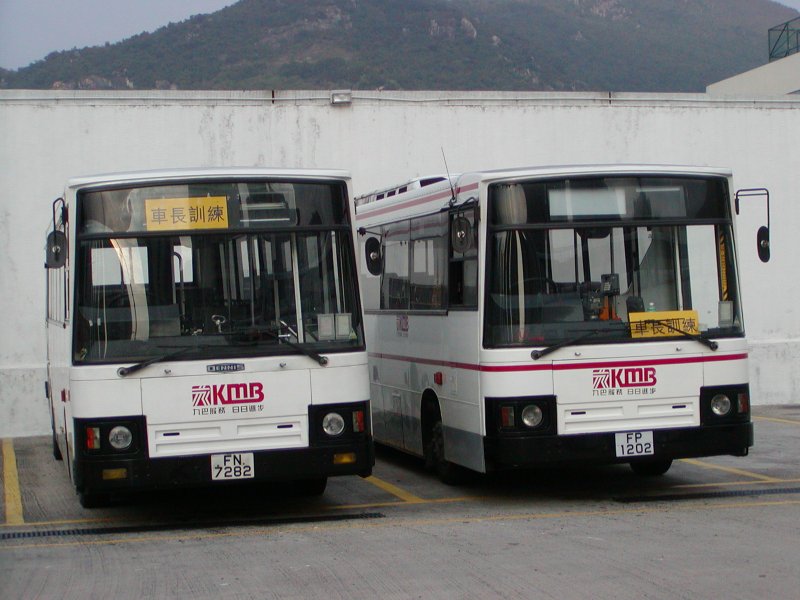 P1010035.jpg