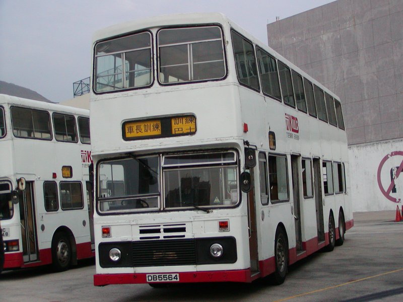 P1010041.jpg