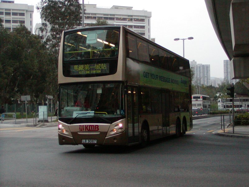 P1010083.jpg