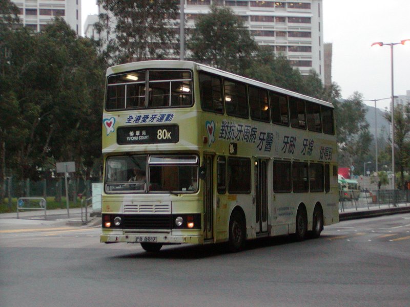 P1010086.jpg