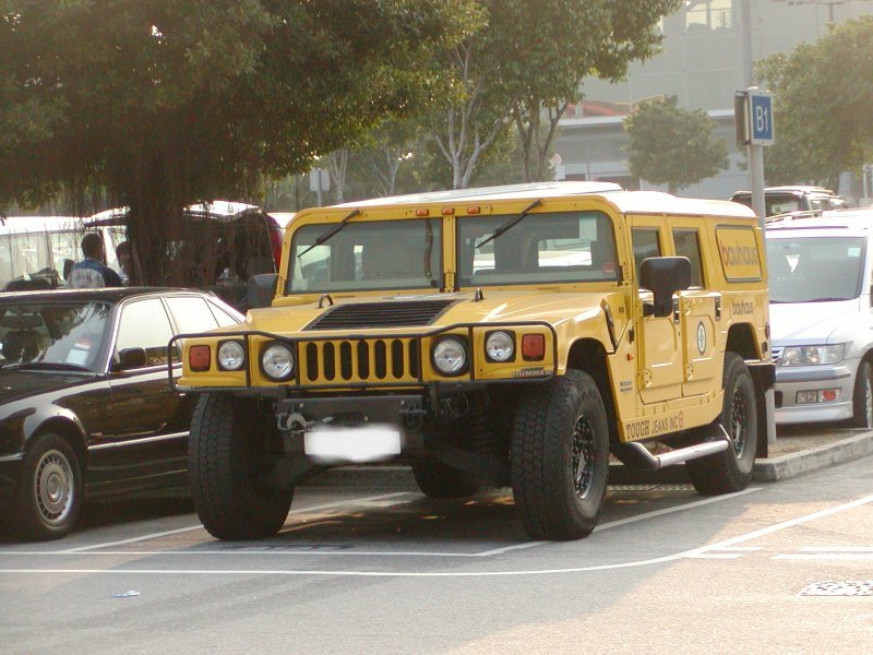 hummer_1a.jpg