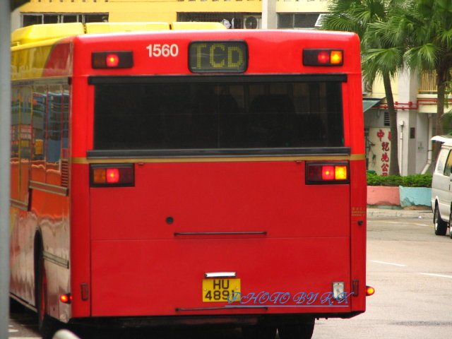 IMG_7864.jpg