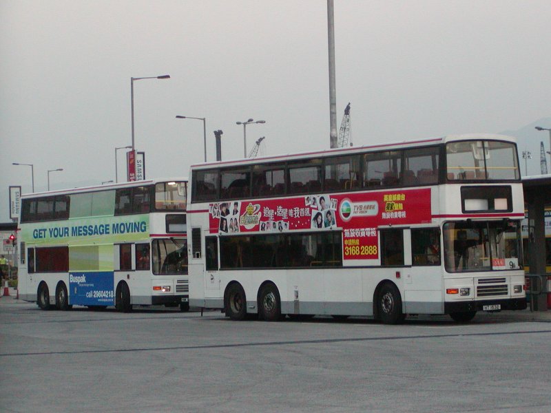 P1010036.jpg
