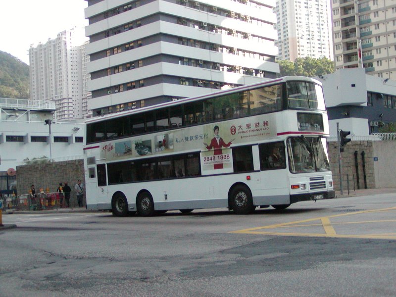 P1010006a.jpg
