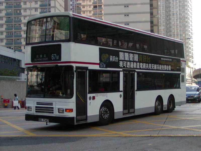 P1010007.jpg