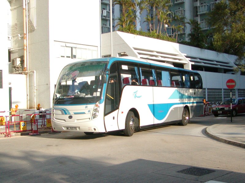 P1010003.jpg