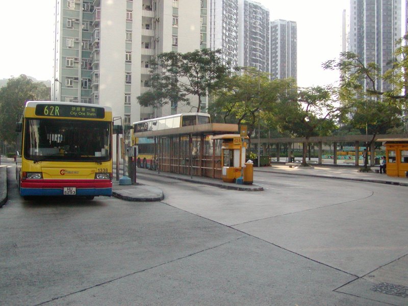 P1010009.jpg