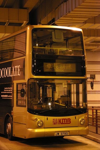 JW3790.JPG
