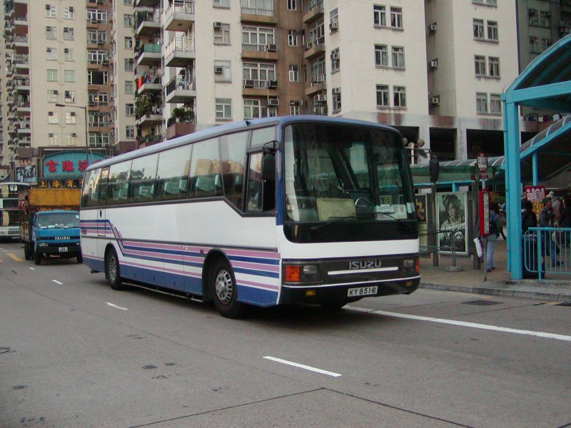 P1010019.jpg