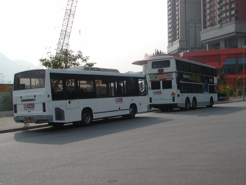 P1010005.jpg