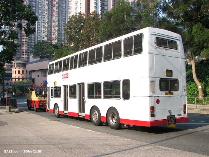 31335.jpg