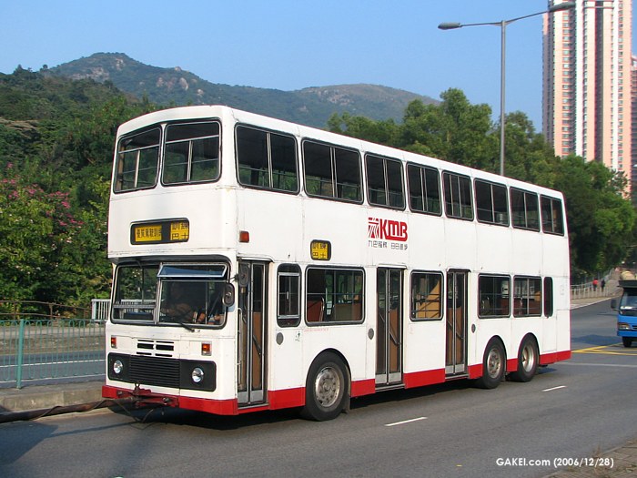 31339.jpg