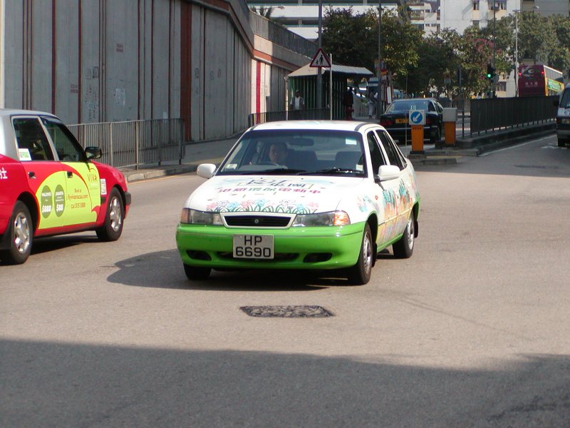 P1010056.jpg