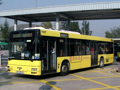 4910.jpg
