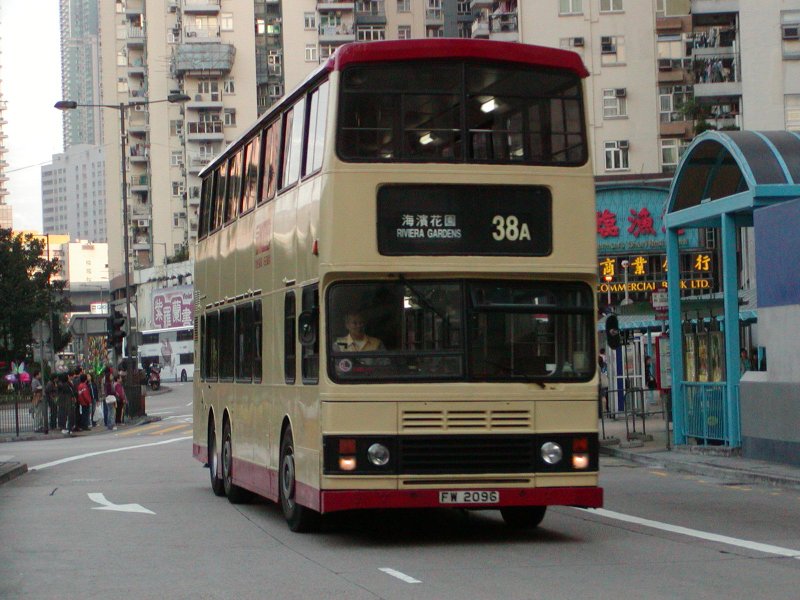 P1010005.jpg