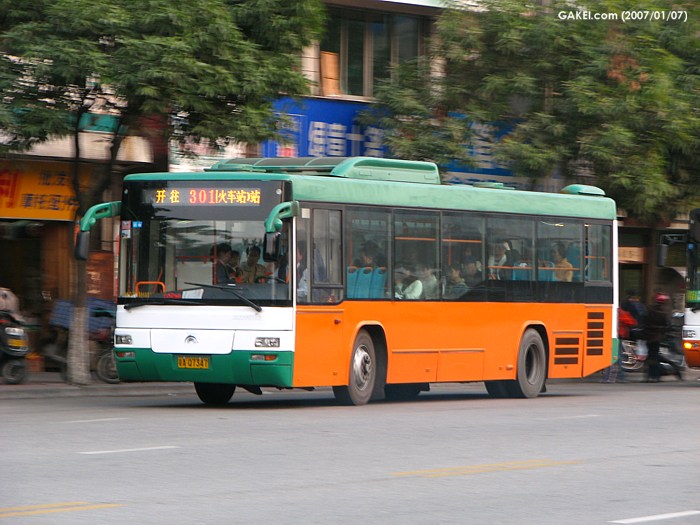 31613.jpg