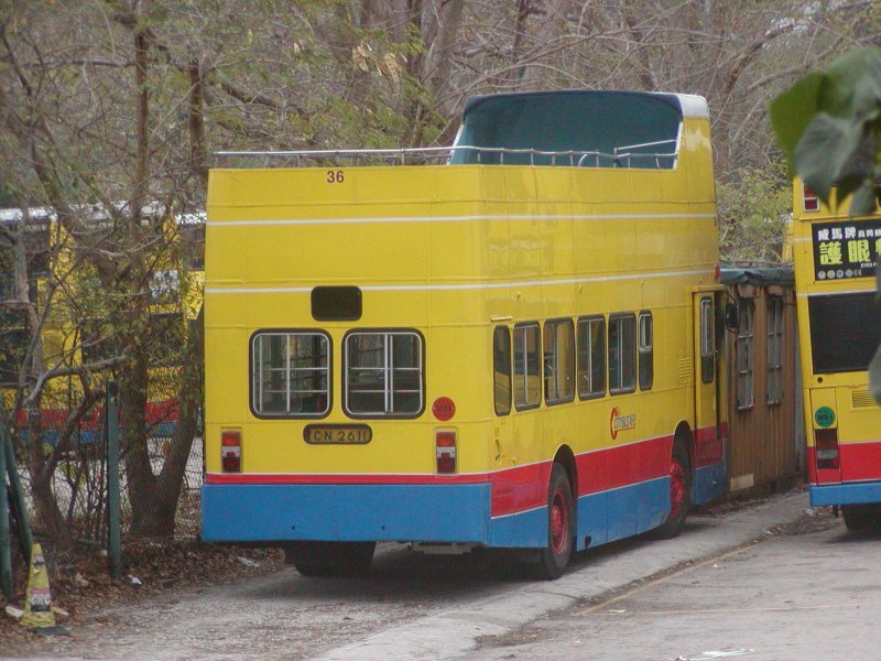 c_36_3.jpg