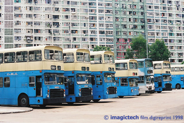 chaiwane-1.jpg