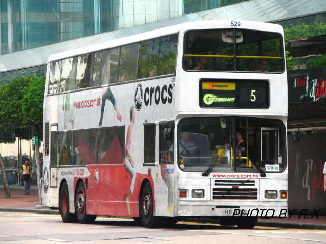 529.jpg
