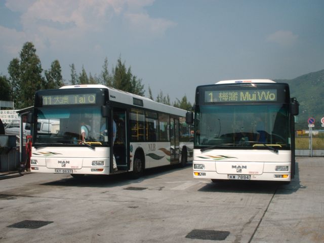 Im001587.jpg