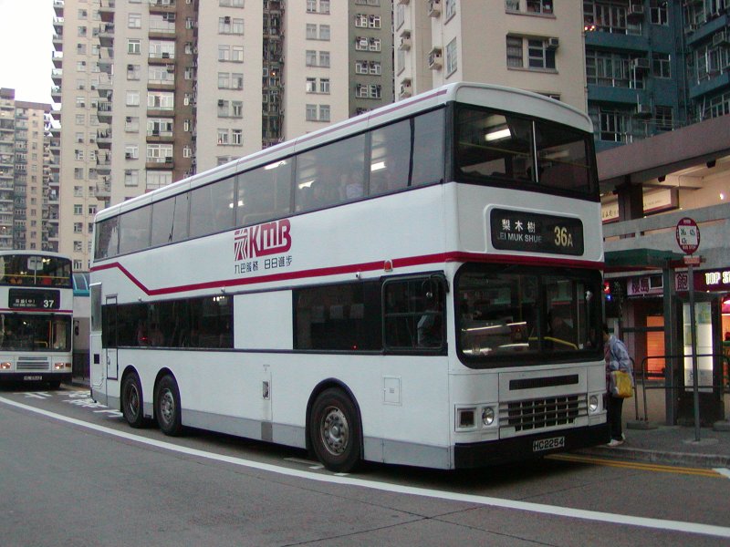 P1010014.jpg