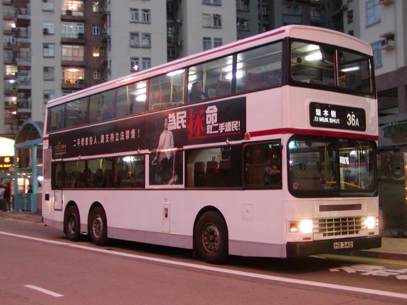 P1010023.jpg