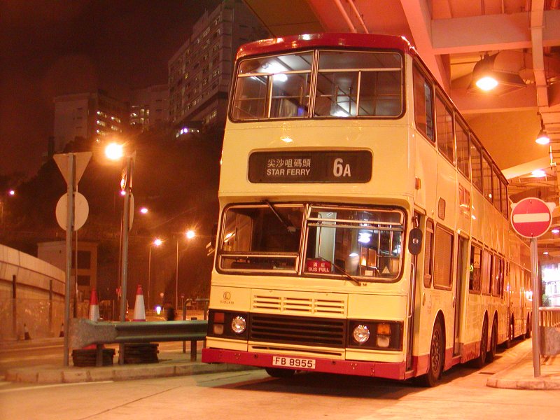 P1010027.jpg