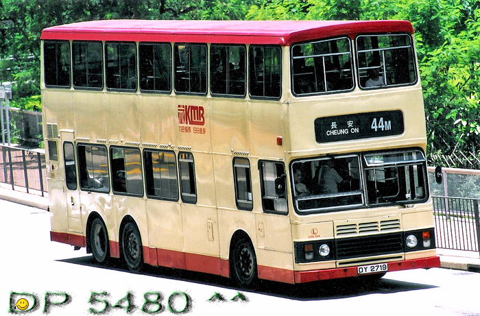 DY2719@44M.jpg