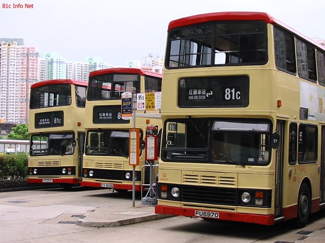 81chot.jpg