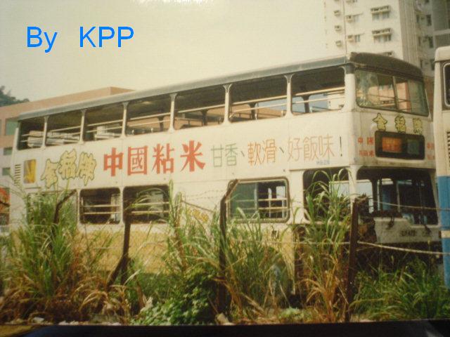 DSC04786.JPG