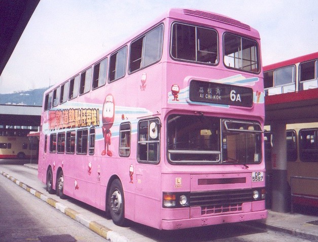 S3N131.jpg