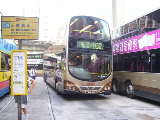 AVBW50-01.JPG