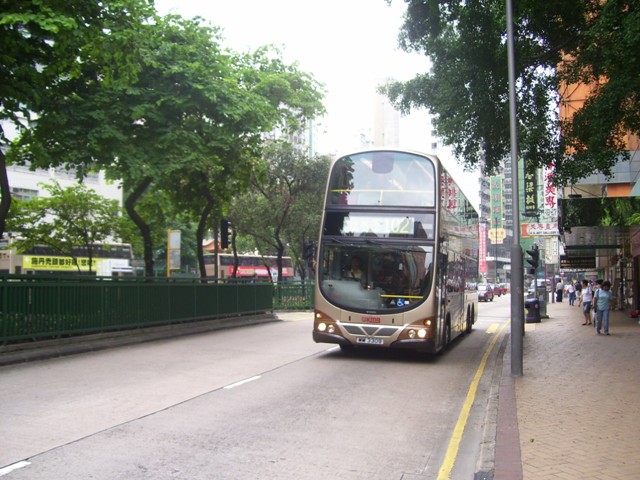 AVBW50-02.JPG